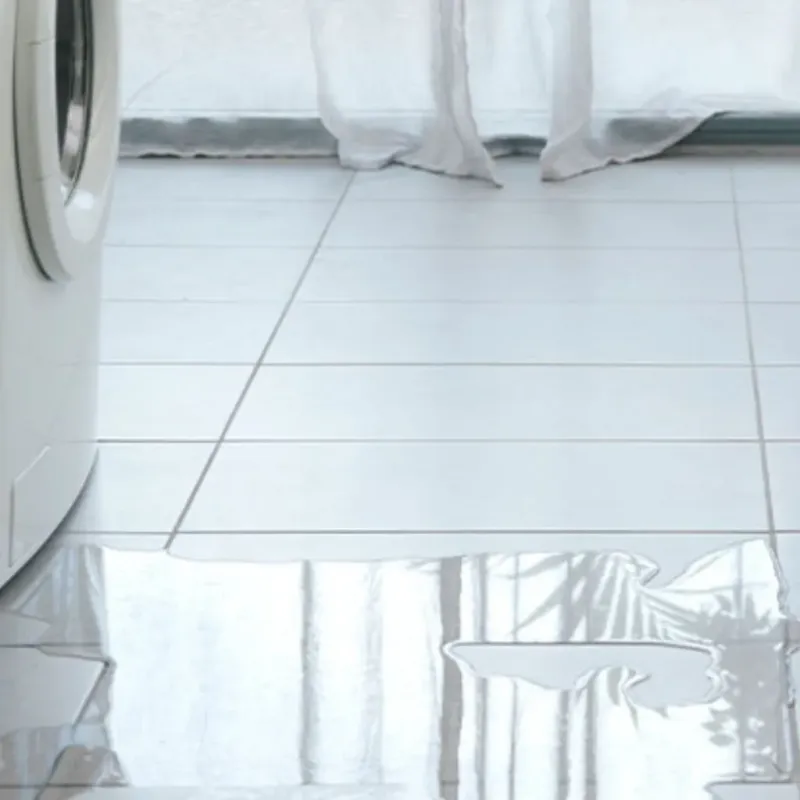 Appliance Leak Cleanup in Kingsville, TX