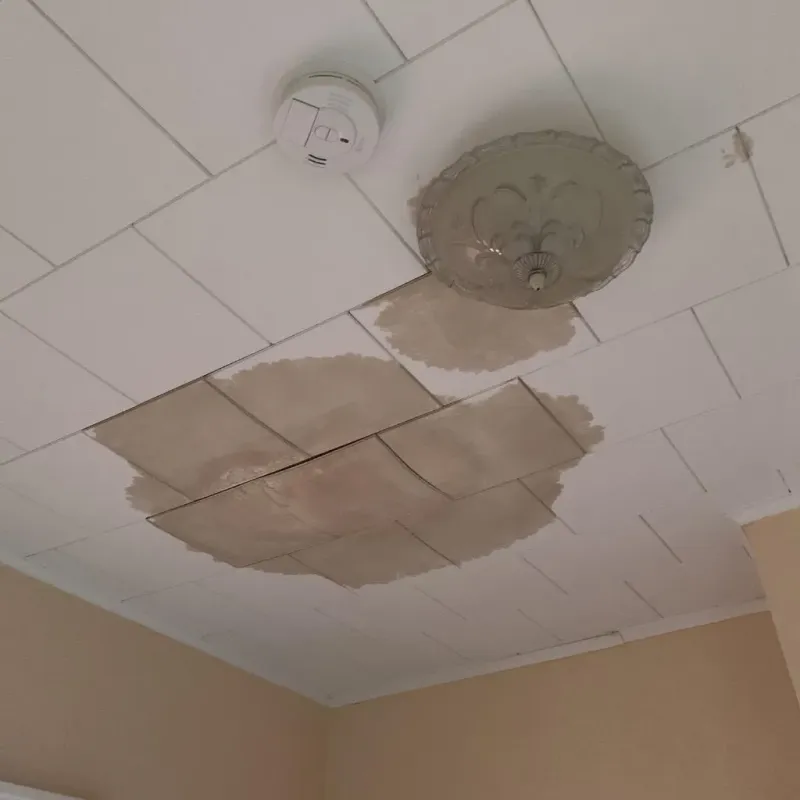 Ceiling Water Damage Repair in Kingsville, TX